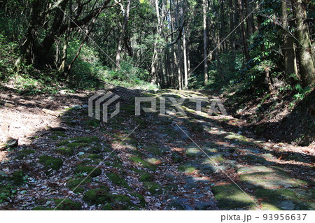 苔がつく石垣の龍門司坂 苔がつく石垣の龍門司坂 93956637