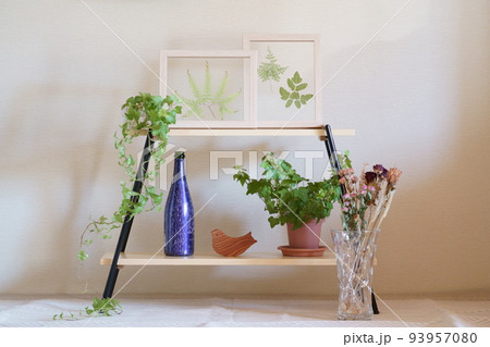 ナチュラルなグリーンのインテリア　 93957080