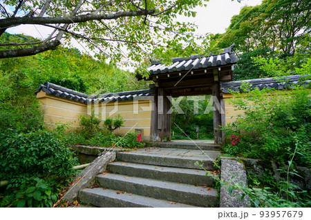 萩の花が咲き始めた浄瑠璃寺の山門 93957679