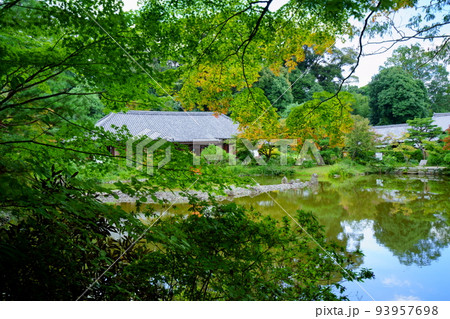 浄瑠璃寺の本堂・初秋・林の中から 93957698