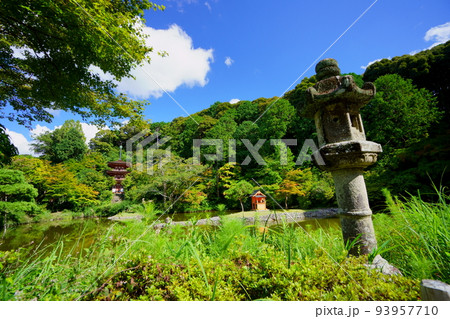 浄瑠璃寺の境内・石灯籠と中島・三重塔 93957710