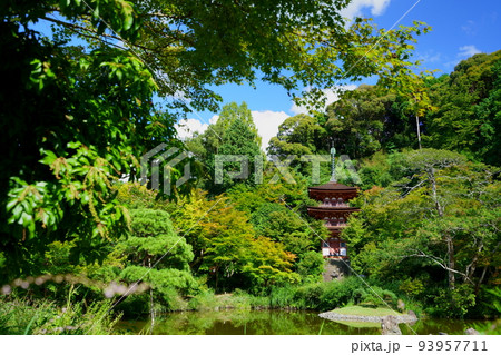 浄瑠璃寺の境内・三重塔 93957711