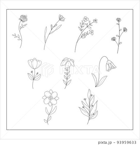 Hand-drawn Set of Floral Illustrations  93959633