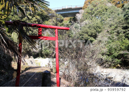 森の中の鳥居と橋 93959792