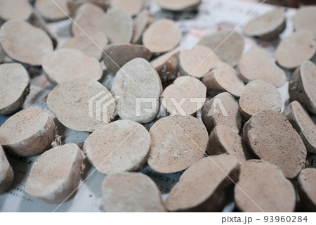 畑に植える前の種じゃがいも 93960284