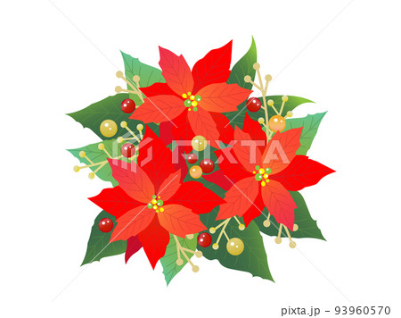 Gorgeous poinsettia bouquet illustration material - Stock Illustration  [93960570] - PIXTA