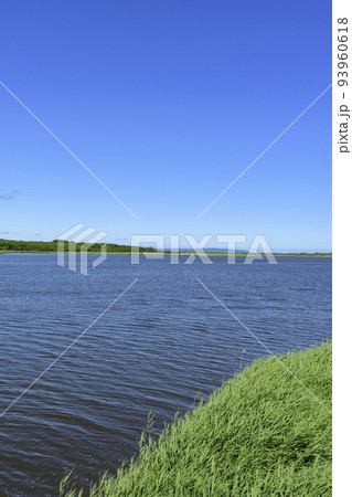 北海道　濤沸湖　初夏 93960618