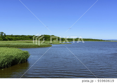 北海道　濤沸湖　初夏 93960619