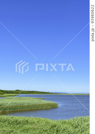 北海道 濤沸湖 初夏 北海道 濤沸湖 初夏 93960622