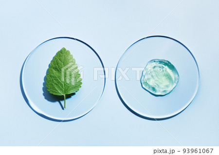Sample of gels cosmetic product and green leaf in petri dish on blue background, hard shadows. Abstract science, medicine and beauty concept Sample of gels cosmetic product and green leaf in petri dish on blue background, hard shadows. Abstract science, medicine and beauty concept 93961067