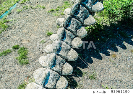 恐竜、化石、尻尾【公園の遊具】 恐竜、化石、尻尾【公園の遊具】 93961190