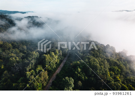 Fog in the mountains at sunrise. Morning fog in the mountains Fog in the mountains at sunrise. Morning fog in the mountains 93961261