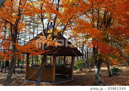 小屋と紅葉 小屋と紅葉 93961349