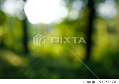 Green blurred background and sunlight 93961478