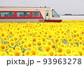 パノラマやくもとヒマワリ 93963278