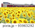 やくもとひまわり 93963292
