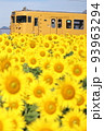 電車とひまわり 93963294