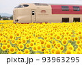 サンライズ出雲とひまわり 93963295