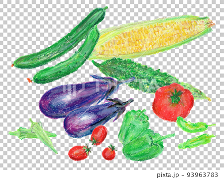 夏野菜（キュウリ、トウモロコシ、ナス、ゴーヤ、トマト、ピーマン、オクラなど）のクレヨンイラスト 93963783