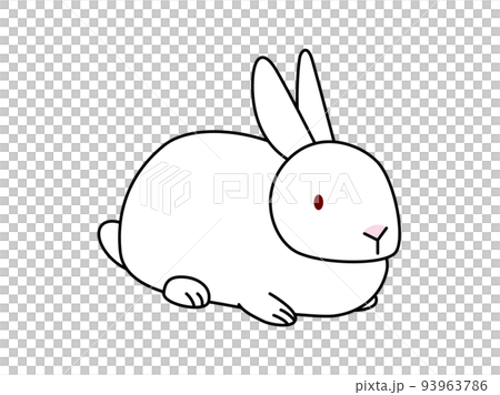 一隻白兔從前面對角坐著 93963786