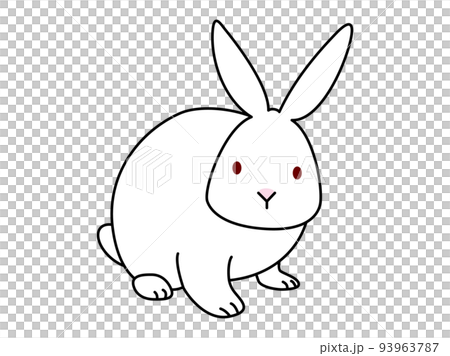 白兔坐在你面前 93963787