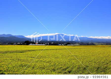 庄内平野の秋風景 93964561