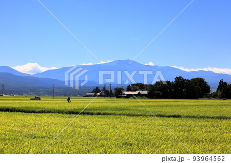 庄内平野の秋風景 93964562