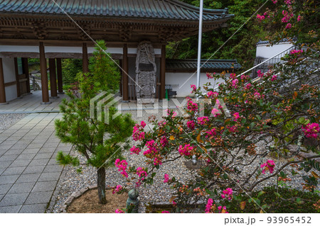 サルスベリ　大窪寺(四国八十八ヶ所霊場第88番札所)　仁王門 93965452