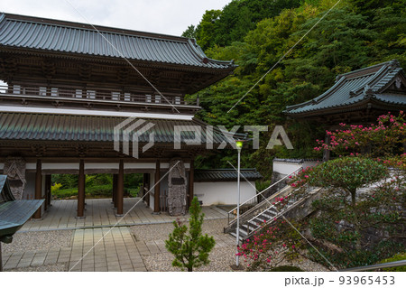 サルスベリ　大窪寺(四国八十八ヶ所霊場第88番札所)　仁王門 93965453