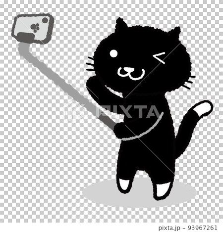 自撮りをする黒猫 93967261