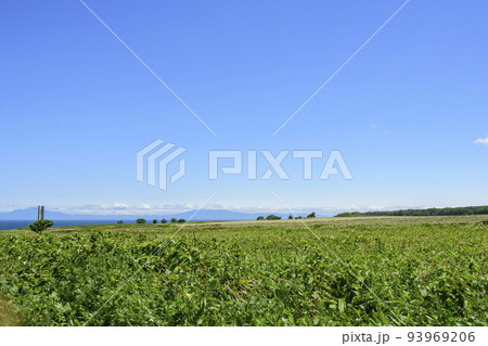 能取岬から望むオホーツクと知床 93969206