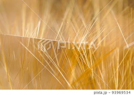 パワーストーン　ルチルクォーツ　天然石 93969534