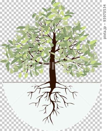 trees and roots 93970534