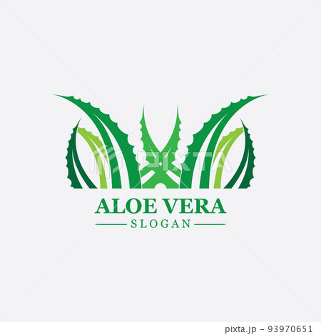 Green plant aloe vera logo vector icon symbol many benefits 93970651