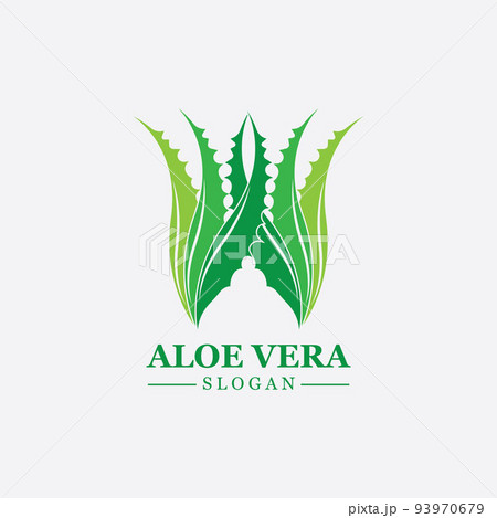 Green plant aloe vera logo vector icon symbol many benefits 93970679