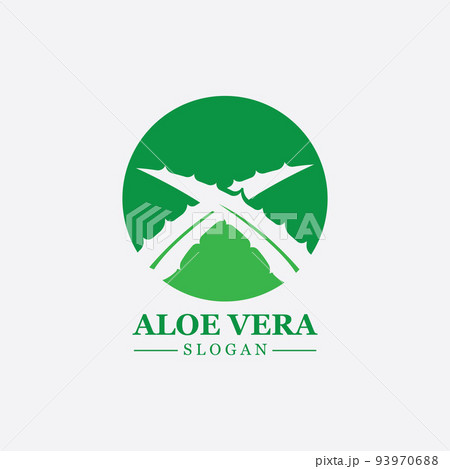 Green plant aloe vera logo vector icon symbol many benefits Green plant aloe vera logo vector icon symbol many benefits 93970688