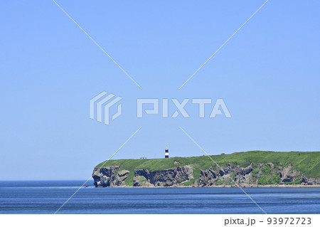 北海道　能取岬　さわやか 93972723