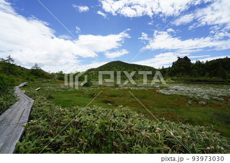 群馬県吾妻郡草津白根　山頂付近の国道292号沿いの弓池　湿原にはワタスゲ　2022年6月28日　 93973030