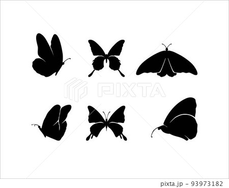 Set of Insect Butterfly Silhouette Illustrations  93973182