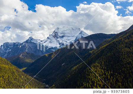 Colorful in autumn forest and snow mountain at Yading nature reserve, The last Shangri la 93973605