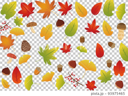 autumn tree leaves 93975465