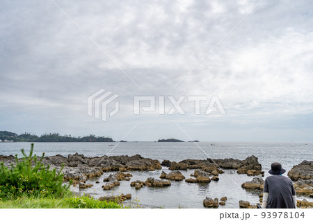 気仙沼市　岩井崎　展望台　潮吹岩　観光客　後ろ姿 93978104