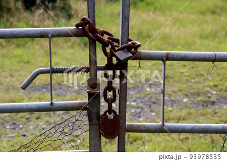 Old Rusting Chain and Padlocks on a Metal Farm Field Gate Old Rusting Chain and Padlocks on a Metal Farm Field Gate 93978535