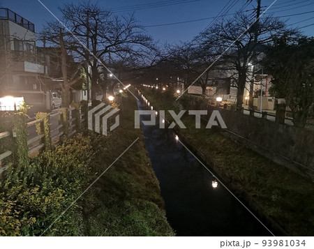 市川市を流れる真間川の夜の風景 市川市を流れる真間川の夜の風景 93981034
