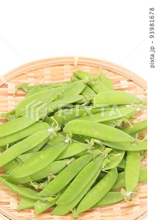 サヤエンドウ 収穫 食材 ざる 明るい背景 サヤエンドウ 収穫 食材 ざる 明るい背景 93981678