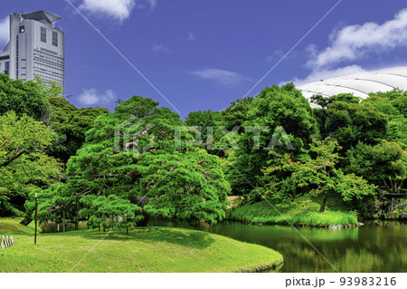 東京都 小石川後楽園 一つ松と大泉水 東京都 小石川後楽園 一つ松と大泉水 93983216