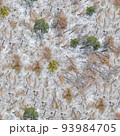winter, snow on the branches of a tree, patterns 93984705