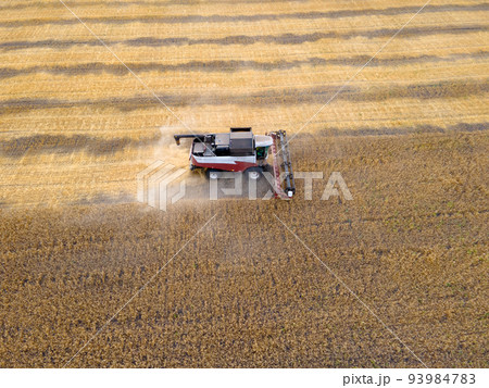 Harvesting of grain crops.Harvesting wheat,oats and barley in fields,ranches and farmlands.Combines mow wheat in the field.Agro-industry.Combine Harvester Cutting on wheat filed.Machine harvest wheat Harvesting of grain crops.Harvesting wheat,oats and barley in fields,ranches and farmlands.Combines mow wheat in the field.Agro-industry.Combine Harvester Cutting on wheat filed.Machine harvest wheat 93984783