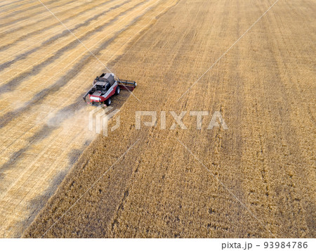 Combines mow wheat in the field.Agro-industry.Combine Harvester Cutting on wheat field.Machine harvest wheat.Harvesting of grain crops.Harvesting wheat,oats and barley in fields,ranches and farmlands 93984786