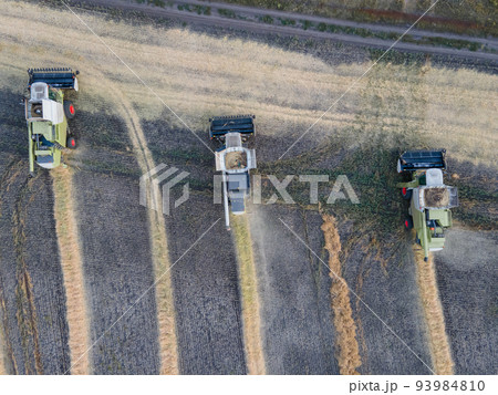 Combines mow rapeseed in the field.Agro-industrial complex.The combine harvester cuts rapeseed .The machine removes rapeseed.Harvesting of grain crops.Harvesting in ranches and agricultural lands Combines mow rapeseed in the field.Agro-industrial complex.The combine harvester cuts rapeseed .The machine removes rapeseed.Harvesting of grain crops.Harvesting in ranches and agricultural lands 93984810